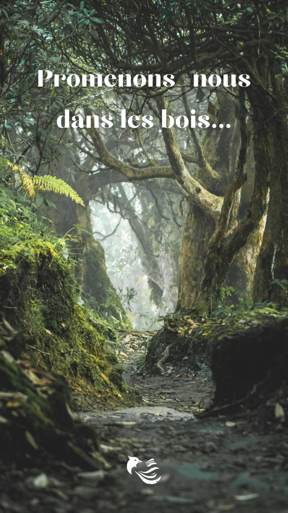 contée forêt polic harmonisée(1)