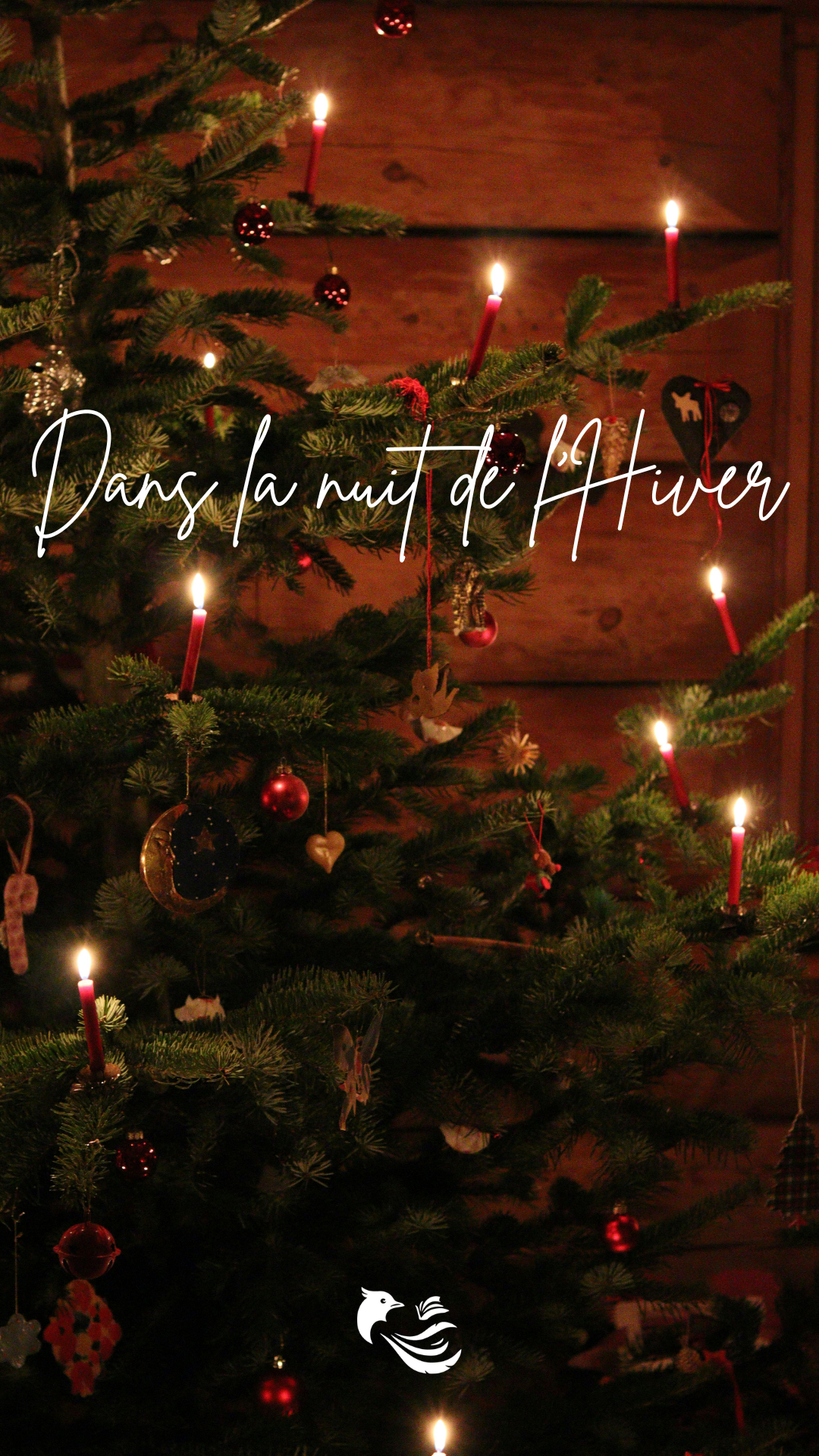 visuel 2 contée chalucet dans la nuit de l'hiver(1)